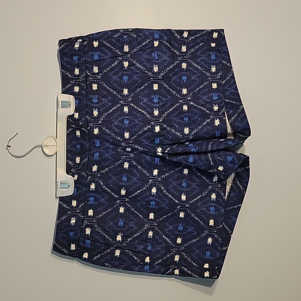 J. Crew Blue Woman's Shorts
